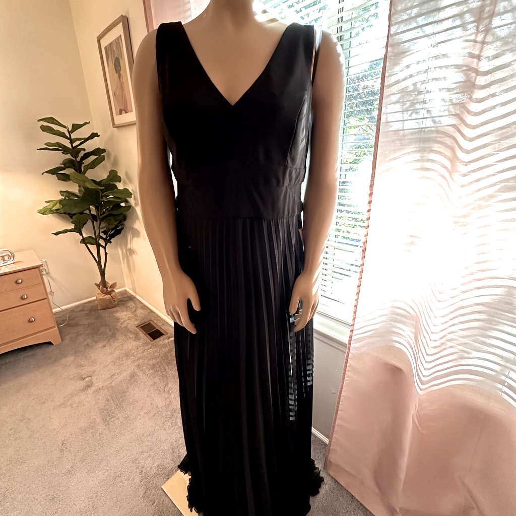 Xscape Women's Pleated V-Neck Gown (16w Black)